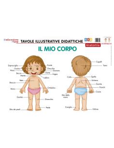 Tavole illustrative didattiche. Anatomia: il mio corpo