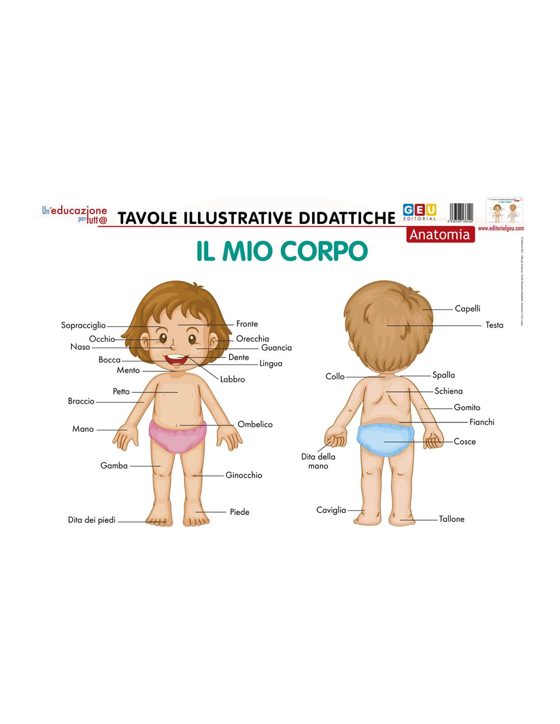 Il mio libro del corpo umano: Per bambini a partire da  