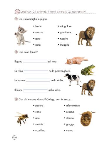 Quaderni di lettura e compresione del testo 6 -...